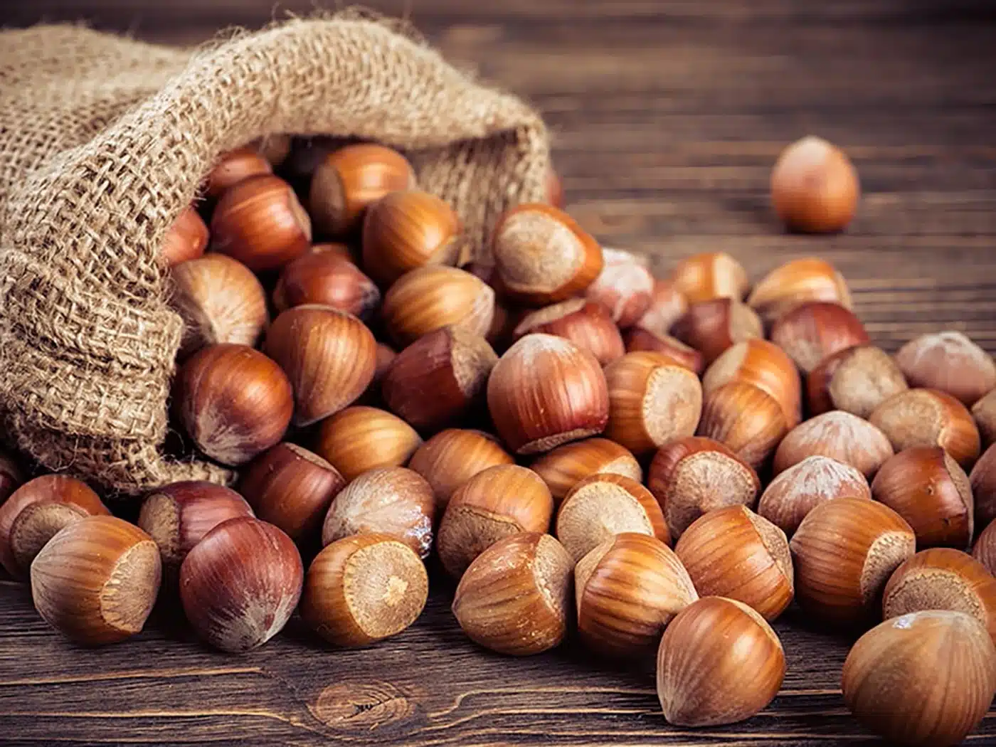 taglierine-e-sfilatrici-per-movimentazione-pasta-secca